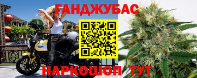 прущие грибы Рязань