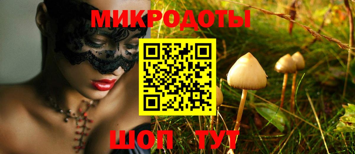 Семилуки  Псилоцибиновые грибы ЛСД  Вход с VPN  Галлюциногенные грибы Cubensis 